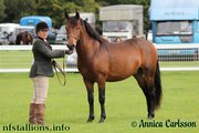 Backley Grenadier, Breed Show 2011