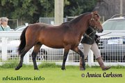 Backley Grenadier, Breed Show 2011