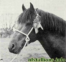 Deeracres Winston Churchill