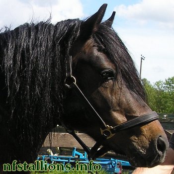 Farriers Fair Chance