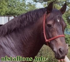 Green Pastures Gay Gordon