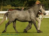 Breed Show 2013