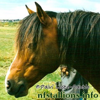 Silverlea Spotlight