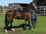 Stallion Passing 2014