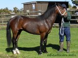 Stallion Passing 2014