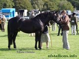 Willoway Minstral, Breed Show 2009