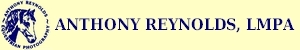 ANTHONY REYNOLDS - Equestrian Photographer, LMPA