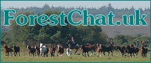 Forest Chat, a forum for horse lovers from the New Forest area and beyond